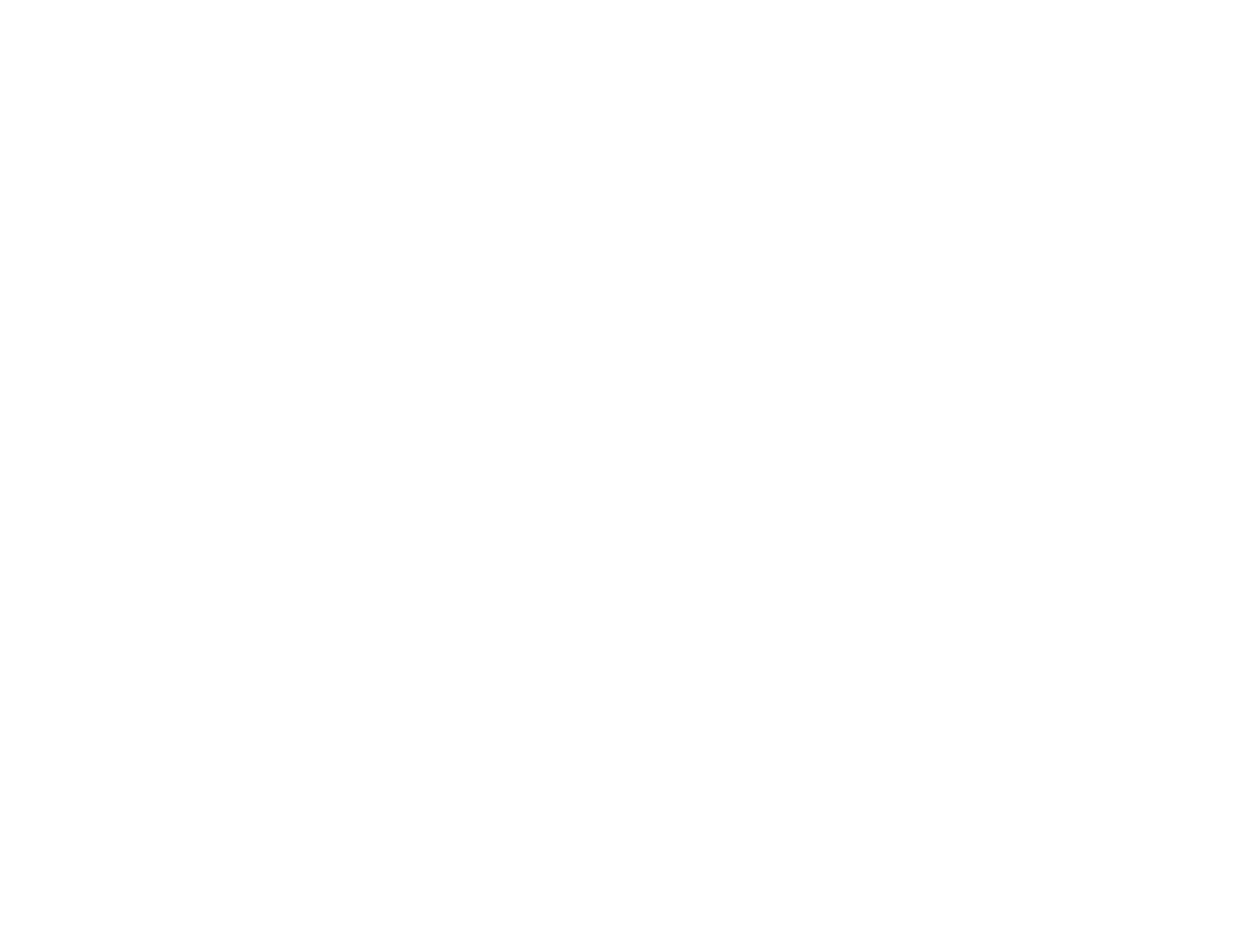 Ice Shaker